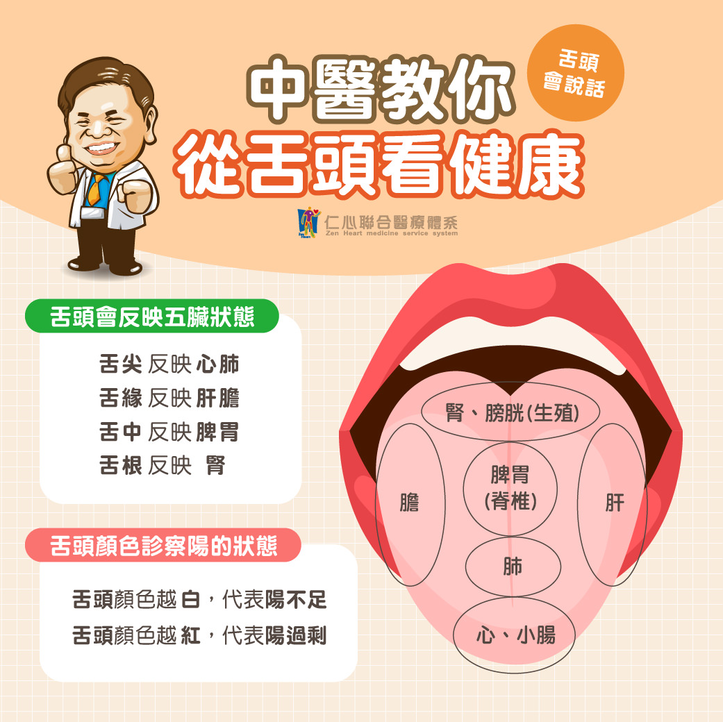中醫認為，舌頭能反映身體健康狀況，舌頭不同部位對應著五臟的狀態：舌尖反映心肺，舌緣反映肝膽，舌中反映脾胃，舌根反映腎。舌頭的顏色也能診斷陽氣情況，顏色越白代表陽氣不足，顏色越紅則可能是陽氣過剩。觀察舌頭變化，有助於及早發現健康問題，進行針對性的調理和改善。